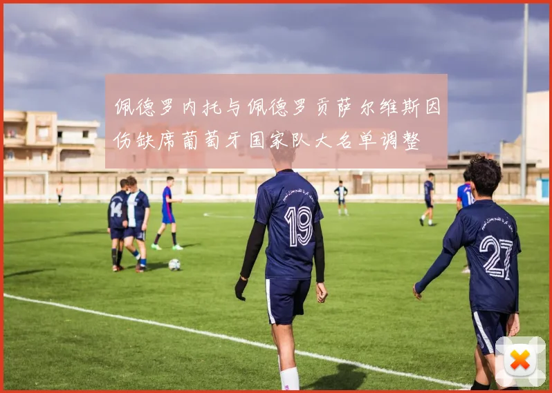 佩德罗内托与佩德罗贡萨尔维斯因伤缺席葡萄牙国家队大名单调整