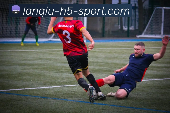 篮球赌注平台生态图