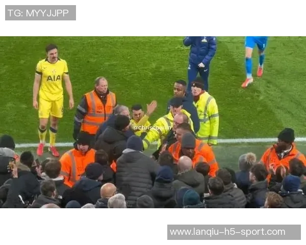 热刺希望续约范德芬但球员对现状不满弗兰克难以掌控局面